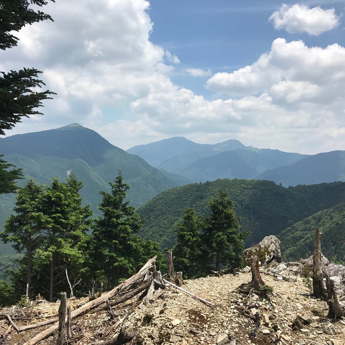 🚠 오쿠이야 관광 순환 모노레일(오쿠이야 칸코 슈유 모노레일) 이미지 5